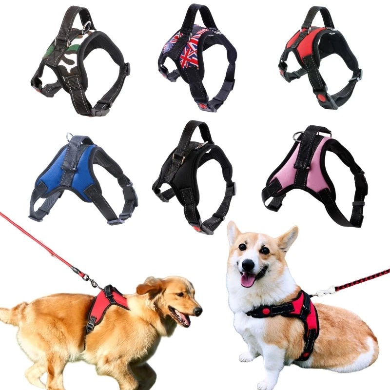 Adjustable Strong Dog Harness – Comfortable Vest for All Breeds - Mirza Finds