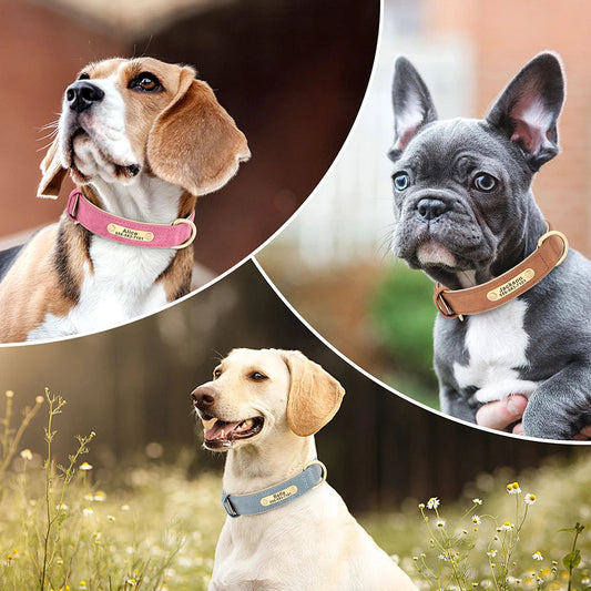 Custom Engraved PU Leather Dog Collar Mirza Store
