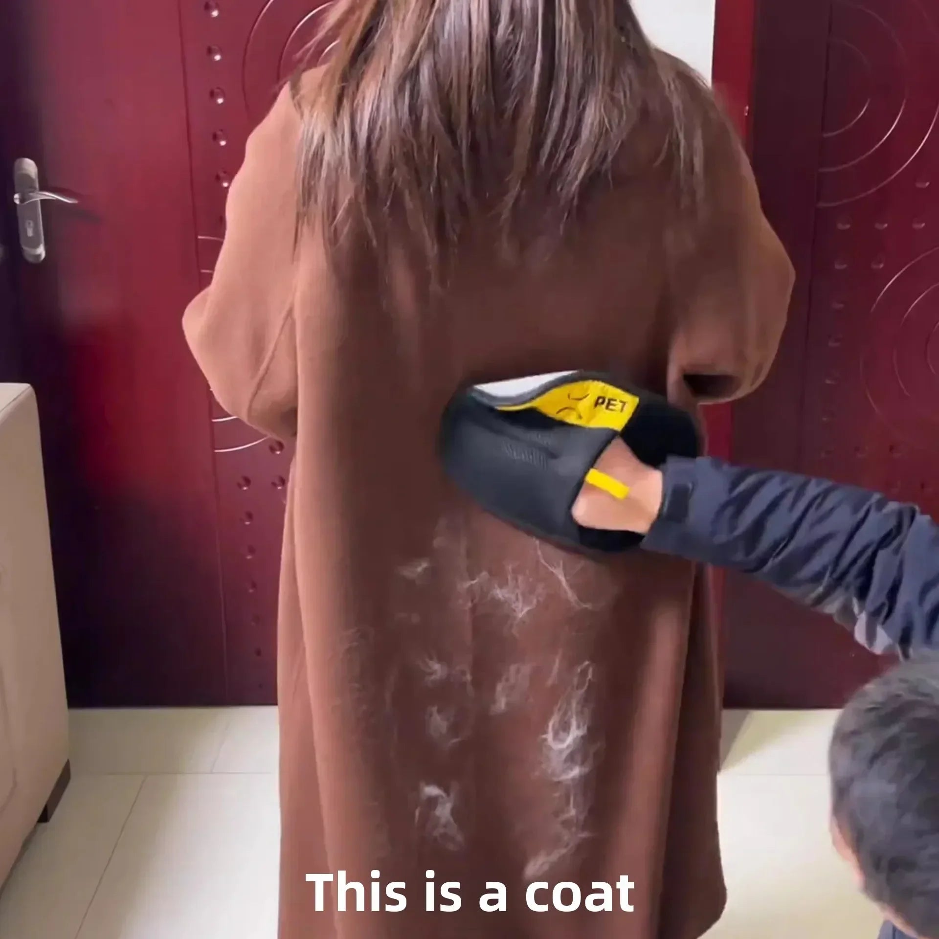 Pet Hair Removal Gloves Mirza Store