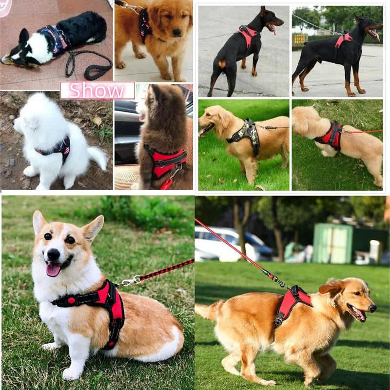 Adjustable Strong Dog Harness – Comfortable Vest for All Breeds Mirza Store