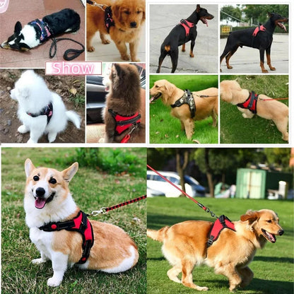 Adjustable Strong Dog Harness – Comfortable Vest for All Breeds Mirza Store