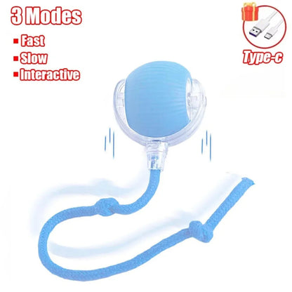 Smart Cat Mouse Automatic Rolling Pet Electric Ball Toy Mirza Store