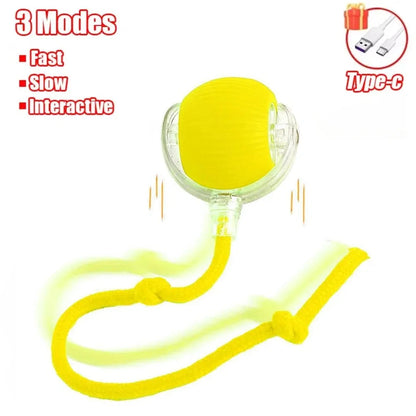 Smart Cat Mouse Automatic Rolling Pet Electric Ball Toy Mirza Store