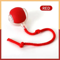 Smart Cat Mouse Automatic Rolling Pet Electric Ball Toy Mirza Store