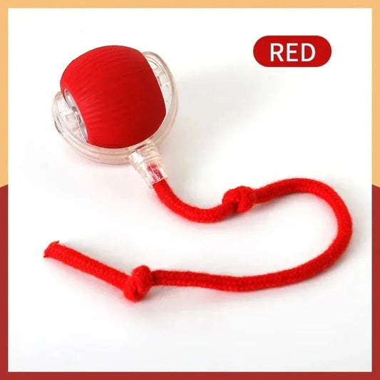 Smart Cat Mouse Automatic Rolling Pet Electric Ball Toy Mirza Store
