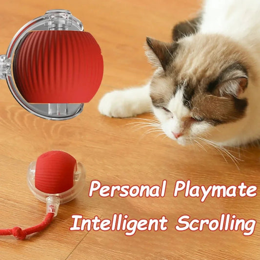 Smart Cat Mouse Automatic Rolling Pet Electric Ball Toy Mirza Store
